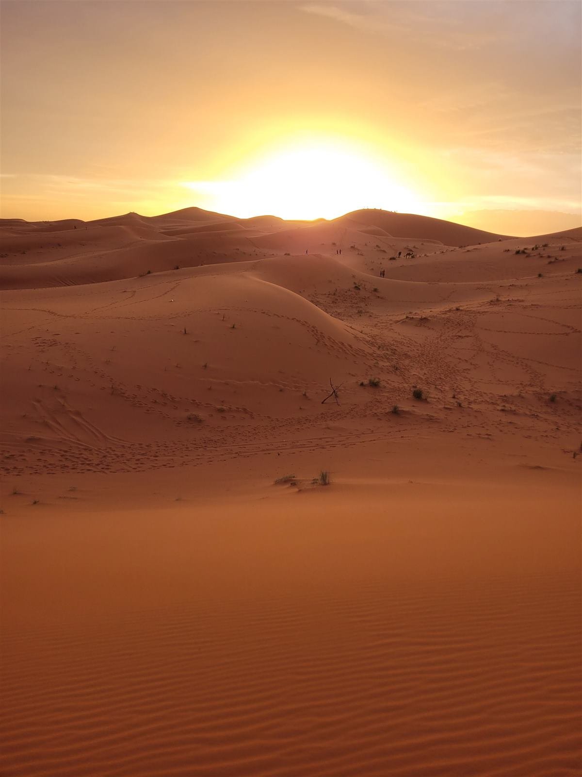 3-Day Sahara Desert Circuit from Marrakech — Merzouga Camel Trek & Desert Camp | MorocTravel